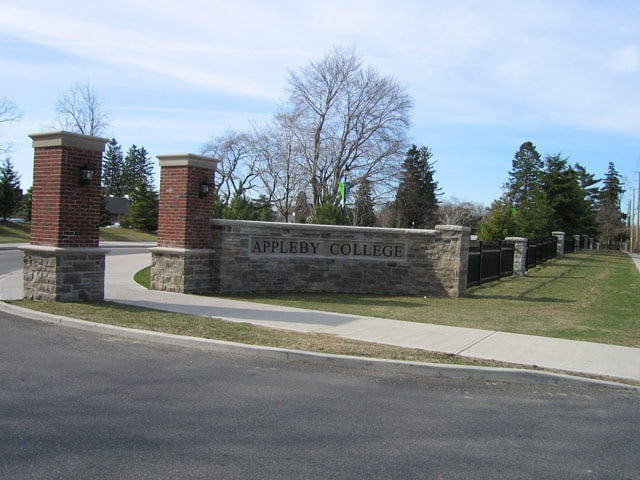 Fences Burlington