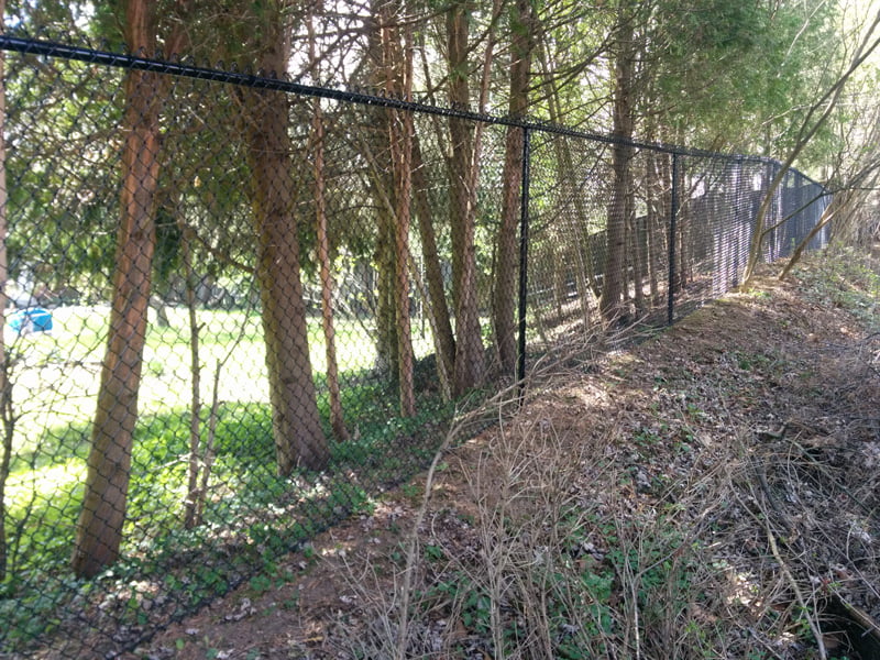 Chain Link Fences Hamilton