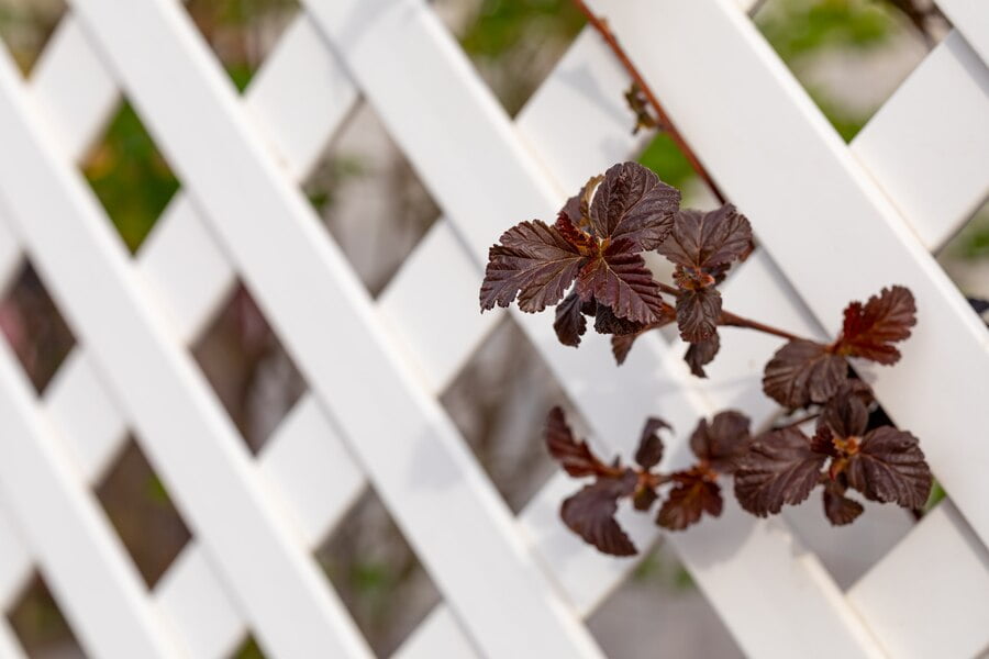 Why You Need a Professional to Install Your Fence