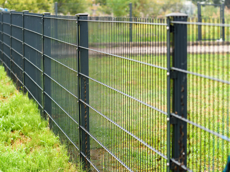 Black metal wire mesh pet-safe fence installed along a residential backyard lawn in Burlington, Southern Ontario by King Fence.